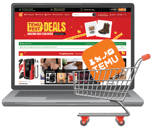 Temu marketplace management